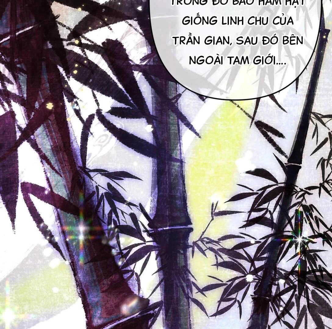 Đông Hải Tìm Mỹ Nhân Chapter 16 - 12