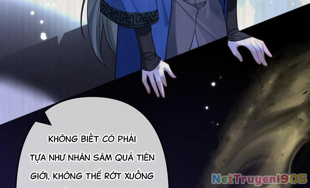 Đông Hải Tìm Mỹ Nhân Chapter 16 - 43