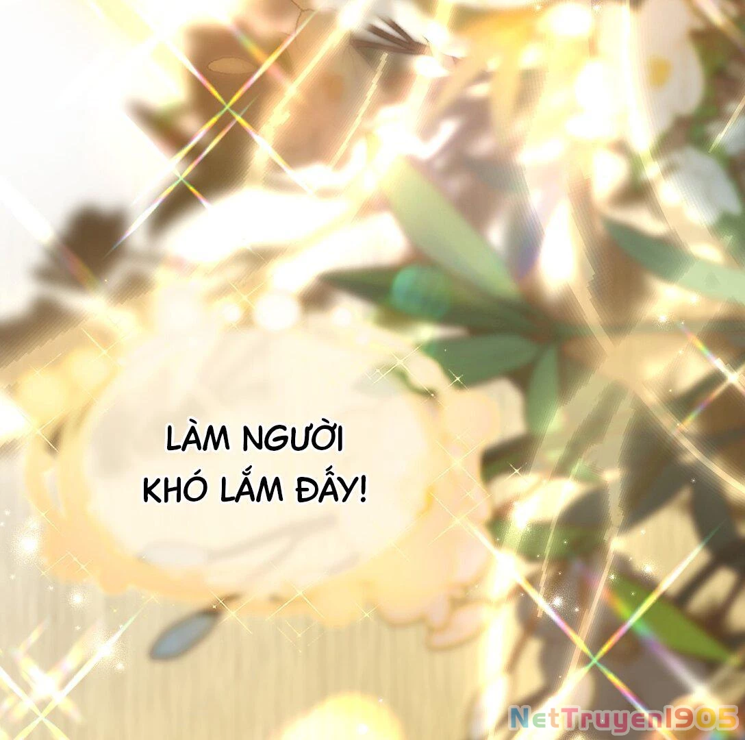 Đông Hải Tìm Mỹ Nhân Chapter 16 - 126