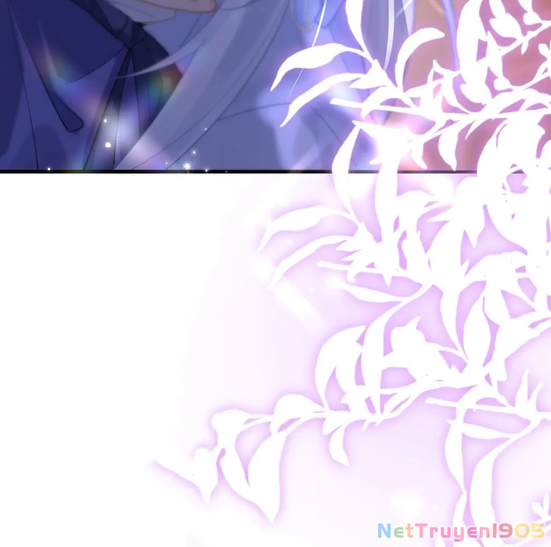 Đông Hải Tìm Mỹ Nhân Chapter 16 - 157