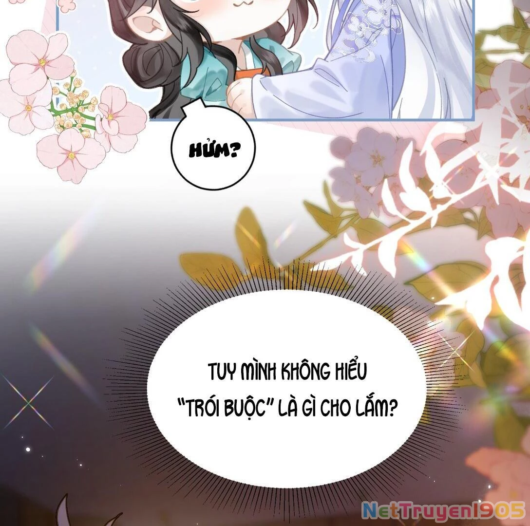 Đông Hải Tìm Mỹ Nhân Chapter 17 - 20