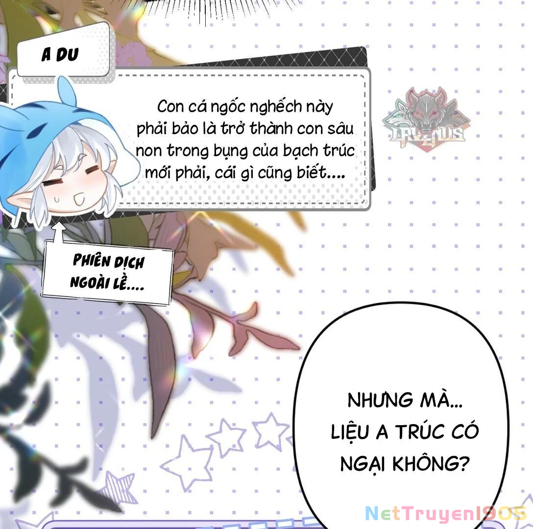 Đông Hải Tìm Mỹ Nhân Chapter 17 - 24