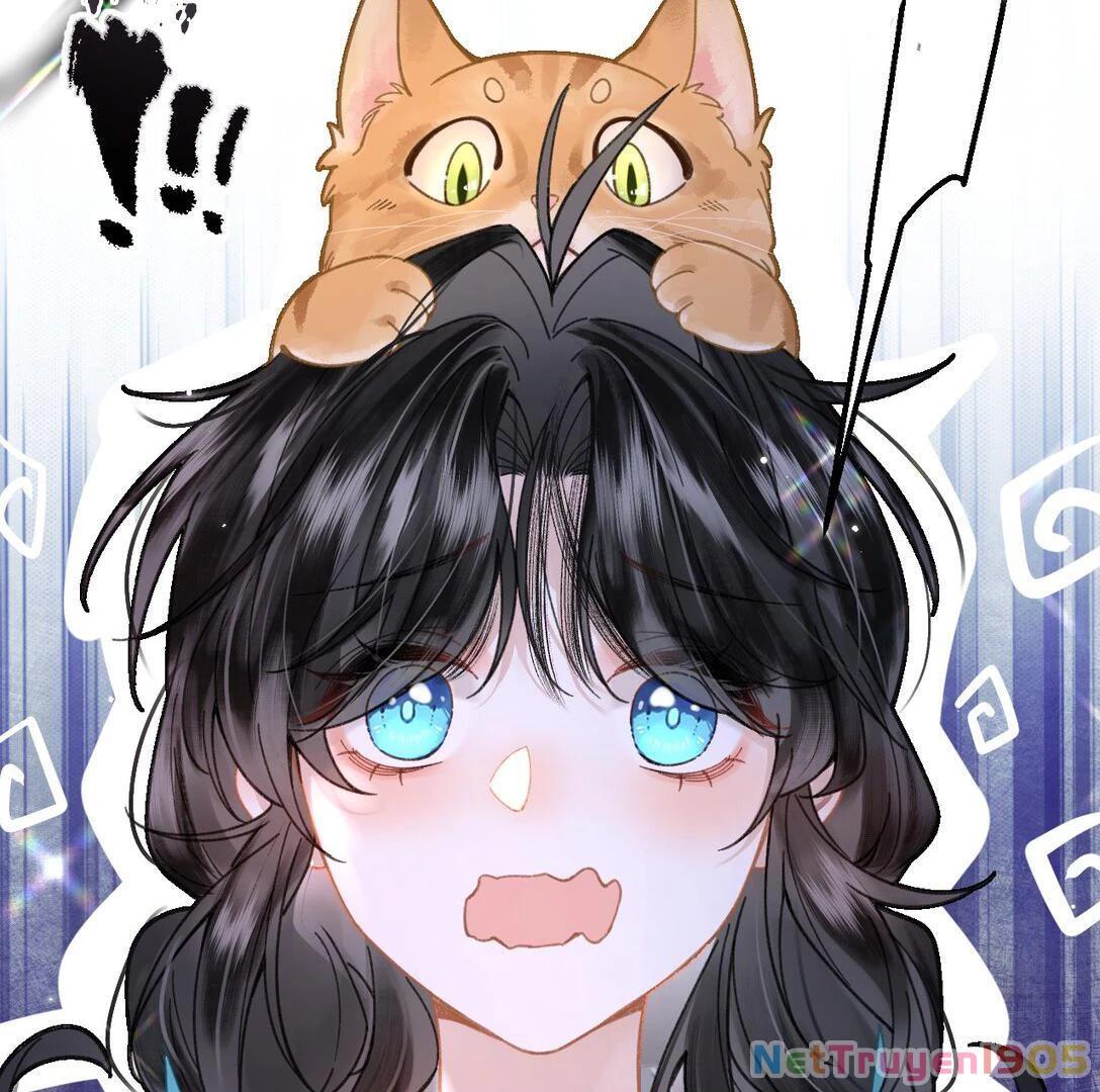 Đông Hải Tìm Mỹ Nhân Chapter 17 - 35