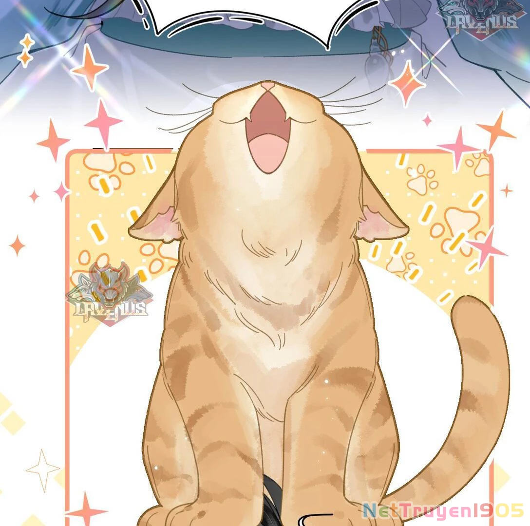 Đông Hải Tìm Mỹ Nhân Chapter 17 - 38