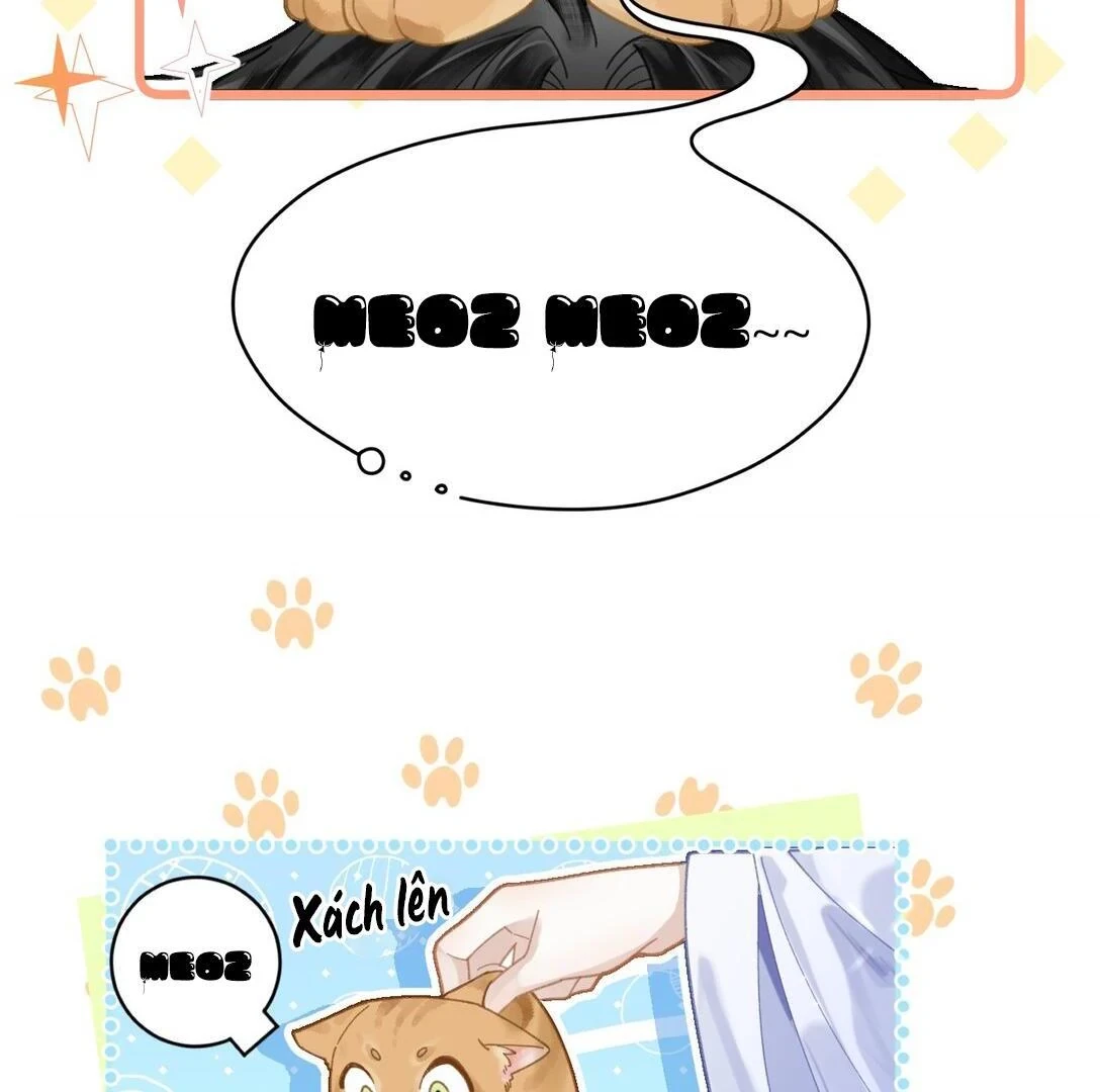 Đông Hải Tìm Mỹ Nhân Chapter 17 - 39