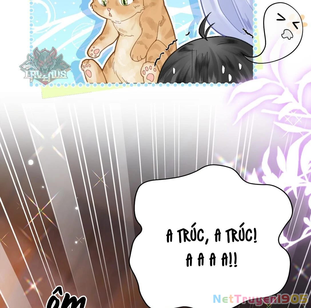 Đông Hải Tìm Mỹ Nhân Chapter 17 - 40