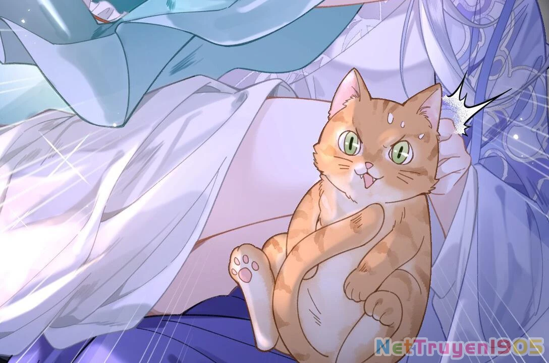 Đông Hải Tìm Mỹ Nhân Chapter 17 - 42