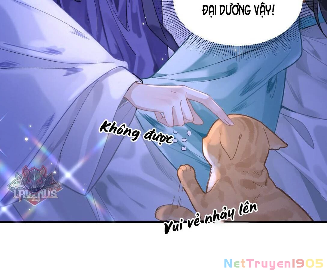 Đông Hải Tìm Mỹ Nhân Chapter 17 - 50