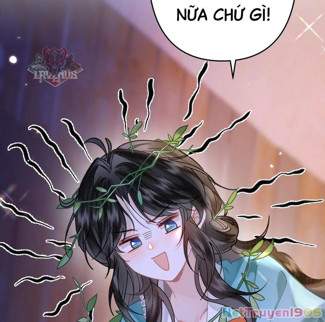 Đông Hải Tìm Mỹ Nhân Chapter 17 - 53