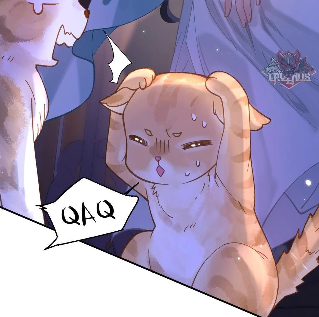 Đông Hải Tìm Mỹ Nhân Chapter 17 - 55