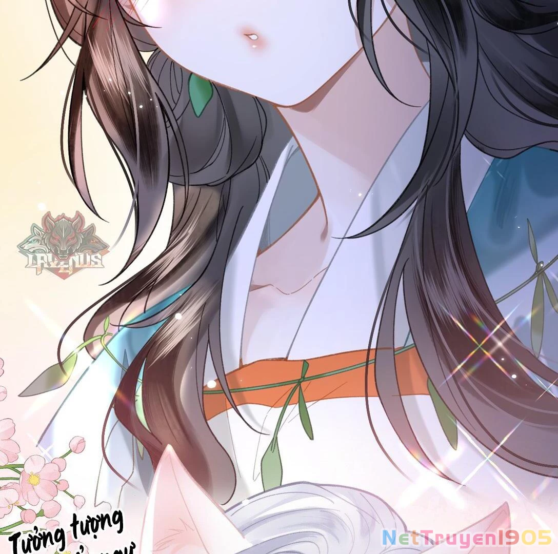 Đông Hải Tìm Mỹ Nhân Chapter 17 - 60