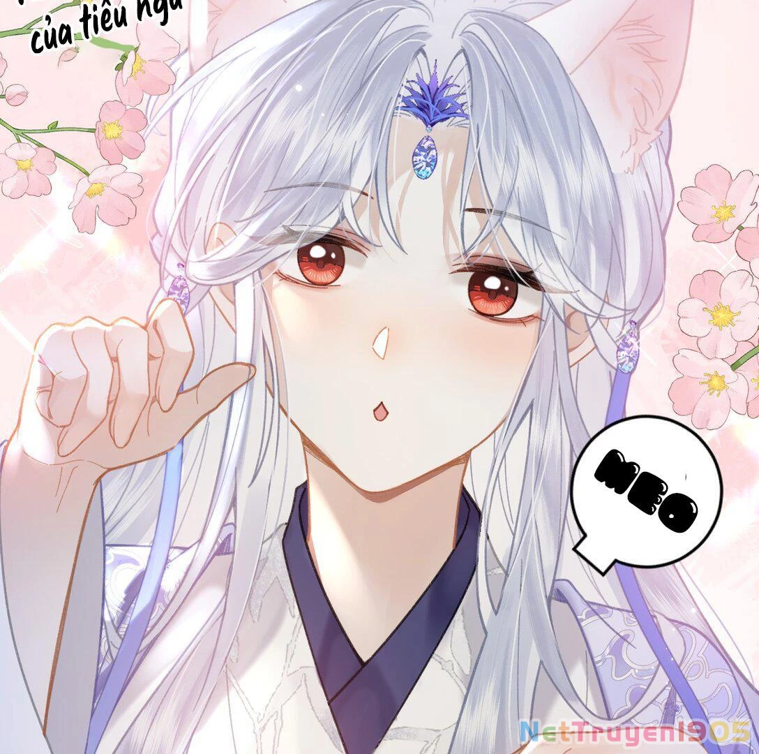 Đông Hải Tìm Mỹ Nhân Chapter 17 - 61