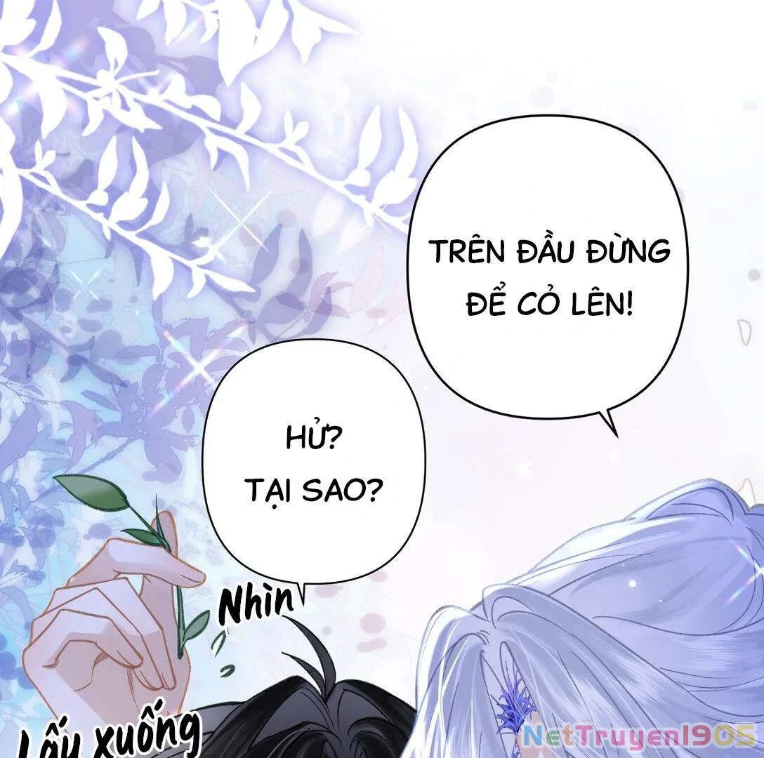 Đông Hải Tìm Mỹ Nhân Chapter 17 - 65