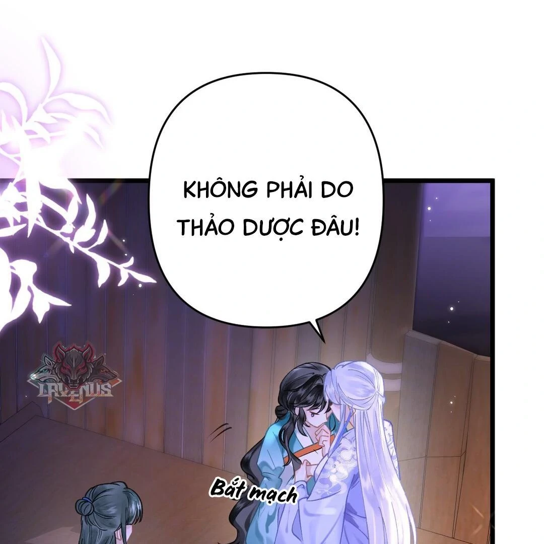 Đông Hải Tìm Mỹ Nhân Chapter 17 - 76