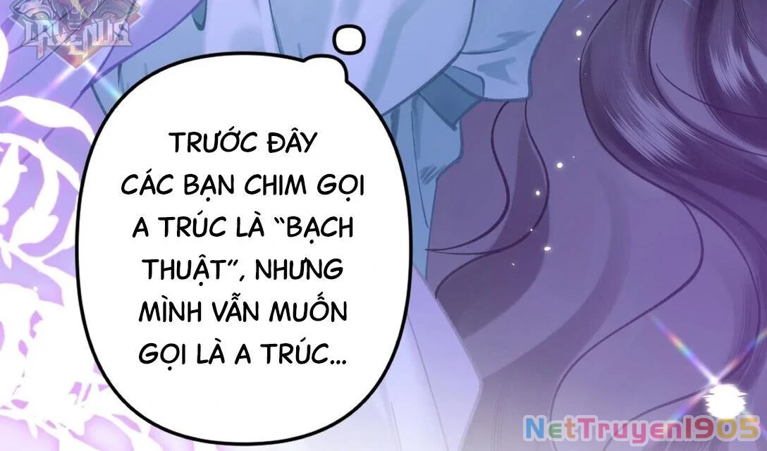 Đông Hải Tìm Mỹ Nhân Chapter 18 - 27