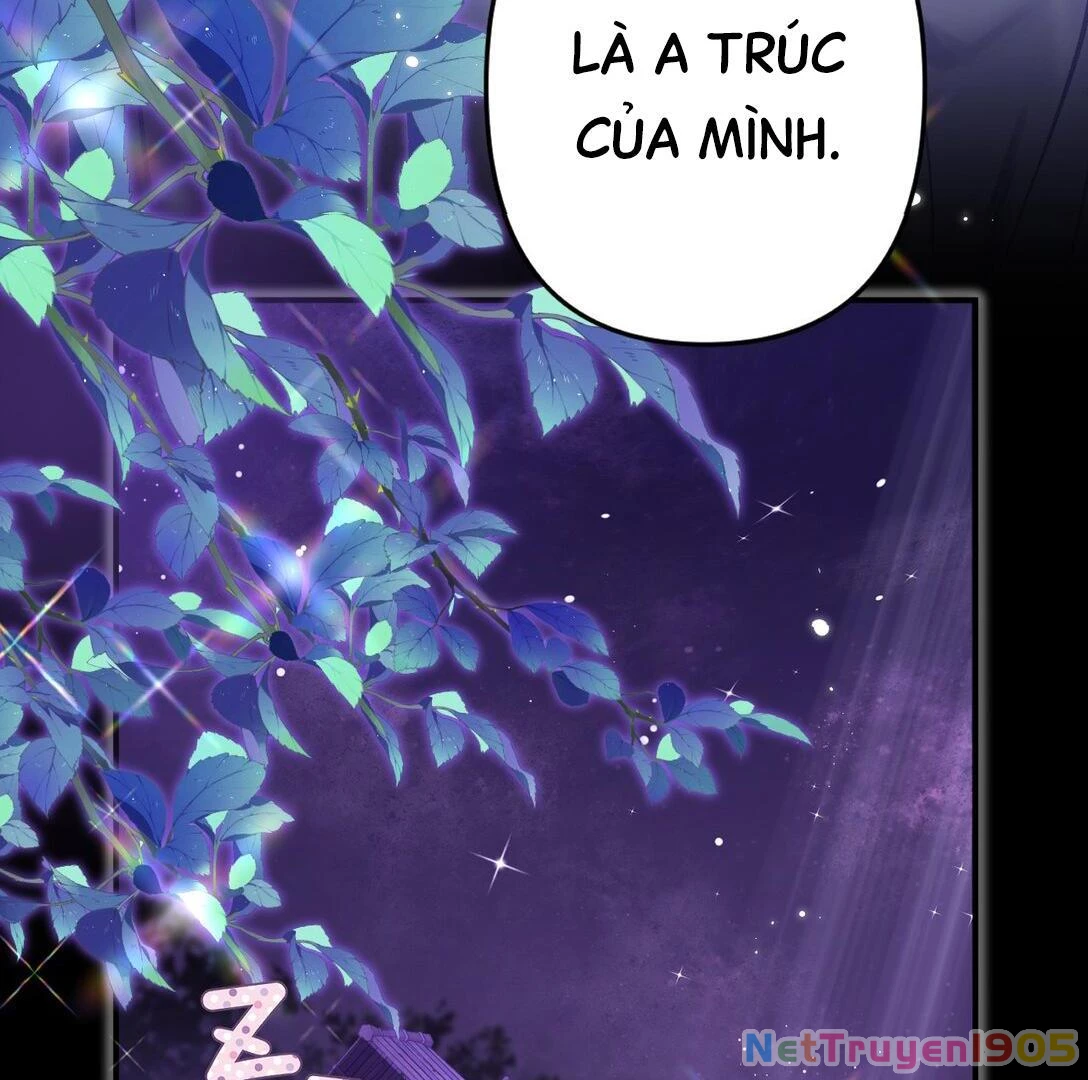 Đông Hải Tìm Mỹ Nhân Chapter 18 - 31