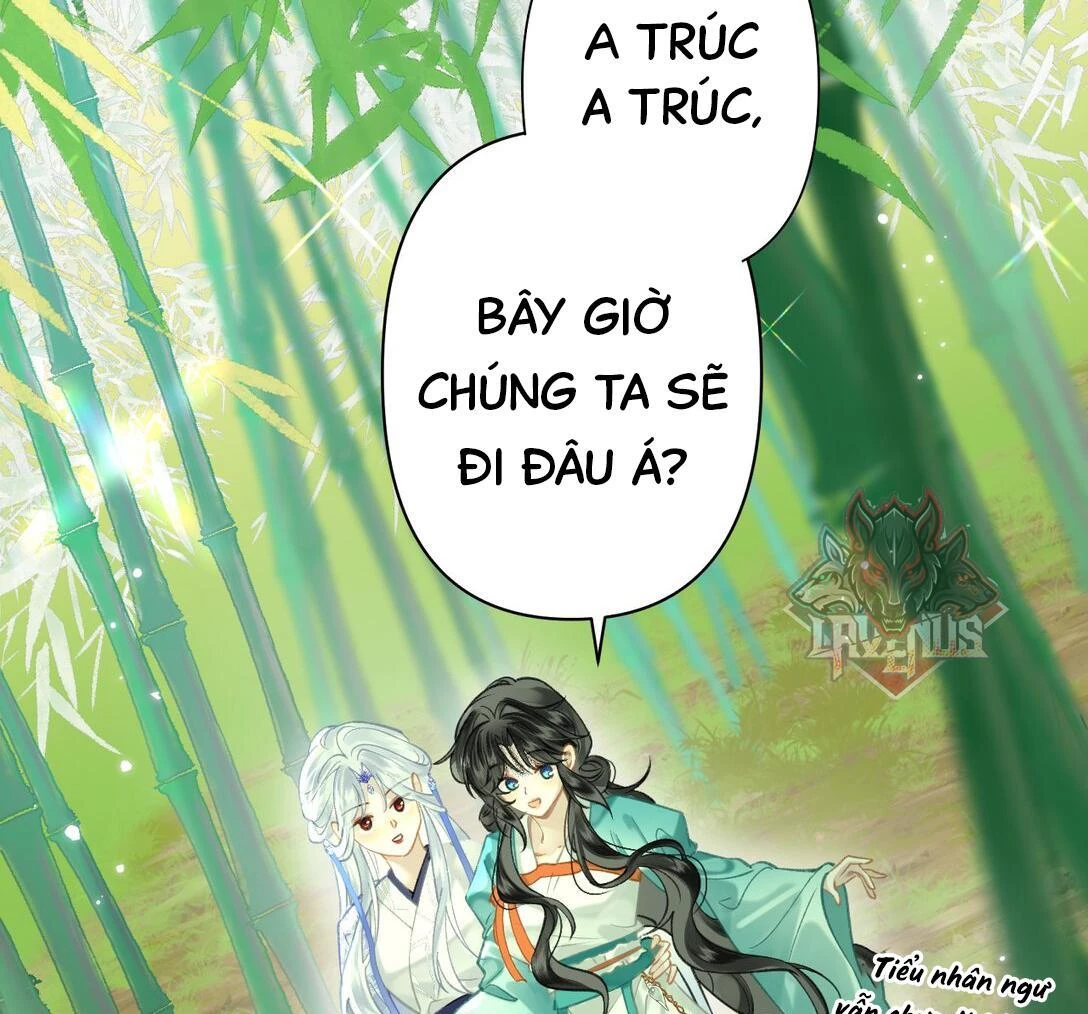 Đông Hải Tìm Mỹ Nhân Chapter 18 - 52