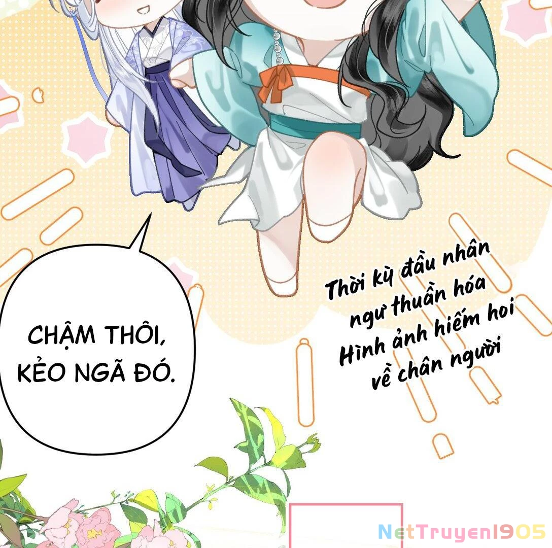 Đông Hải Tìm Mỹ Nhân Chapter 18 - 61