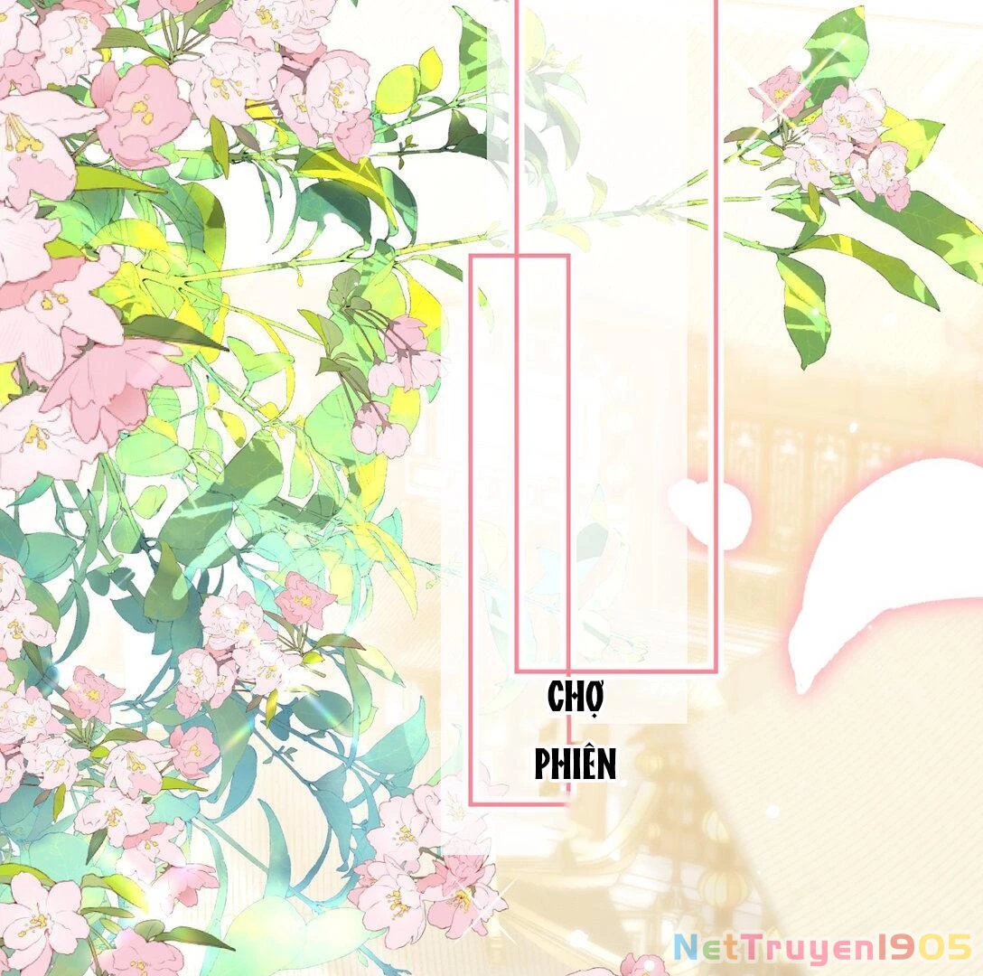 Đông Hải Tìm Mỹ Nhân Chapter 18 - 62