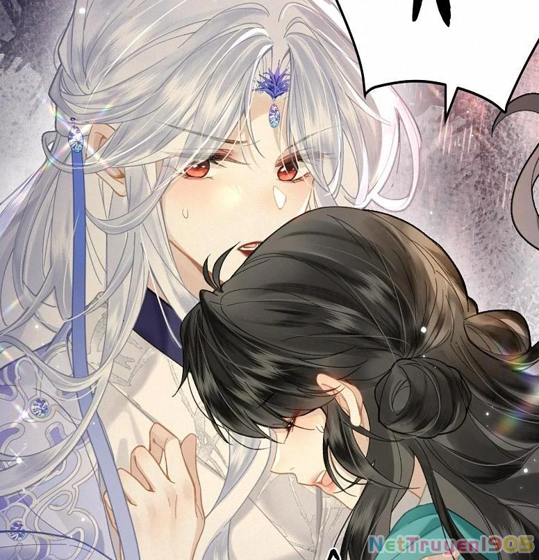 Đông Hải Tìm Mỹ Nhân Chapter 19 - 36