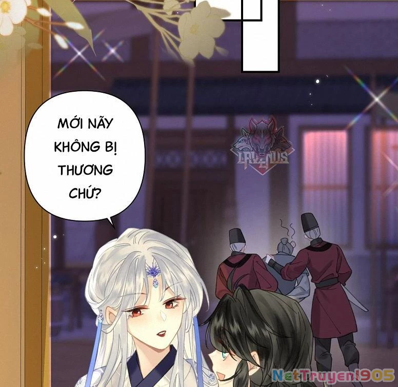 Đông Hải Tìm Mỹ Nhân Chapter 19 - 41