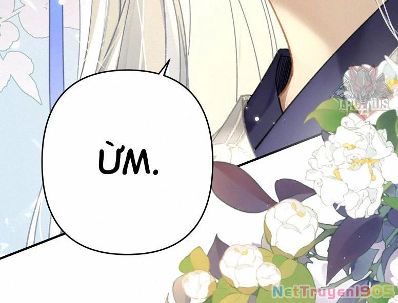 Đông Hải Tìm Mỹ Nhân Chapter 19 - 48