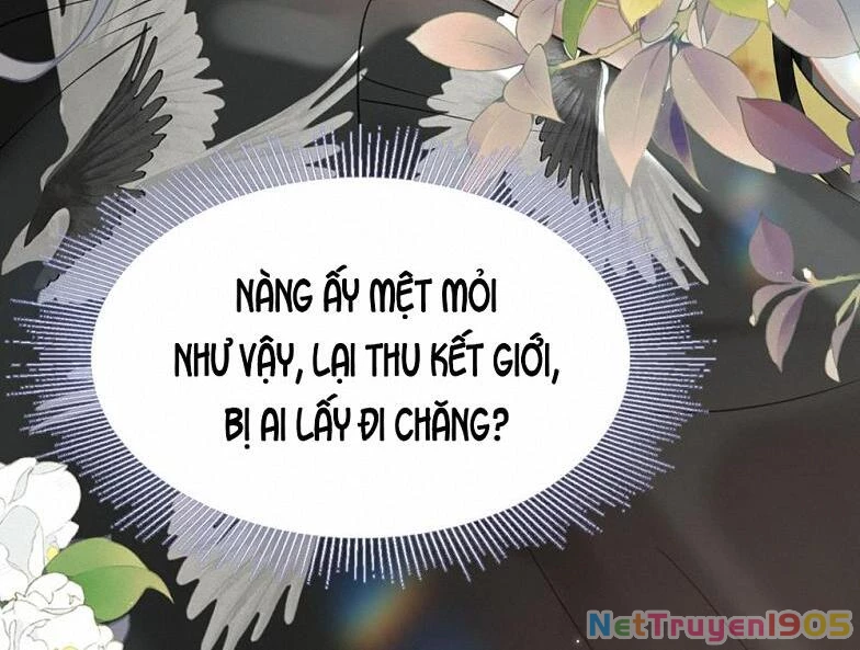 Đông Hải Tìm Mỹ Nhân Chapter 20 - 73