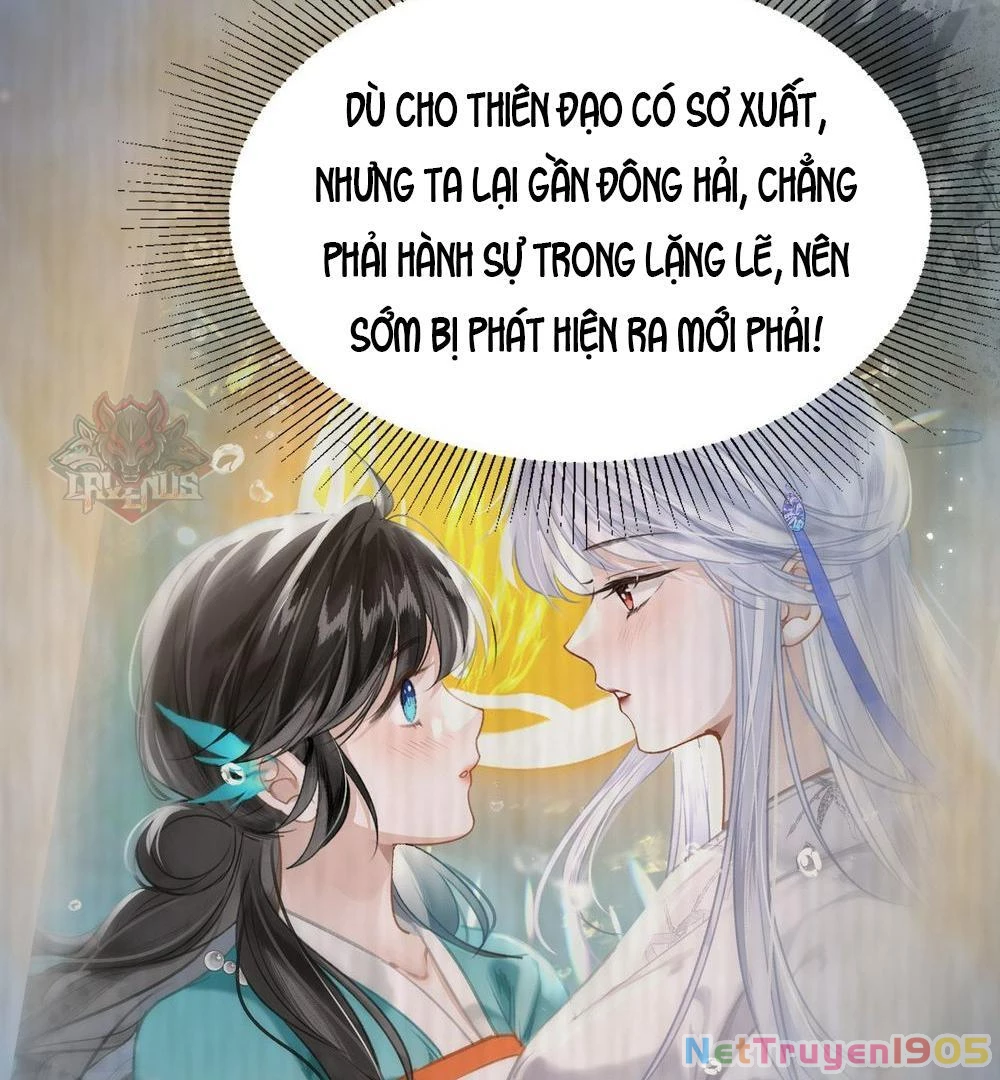 Đông Hải Tìm Mỹ Nhân Chapter 21 - 11