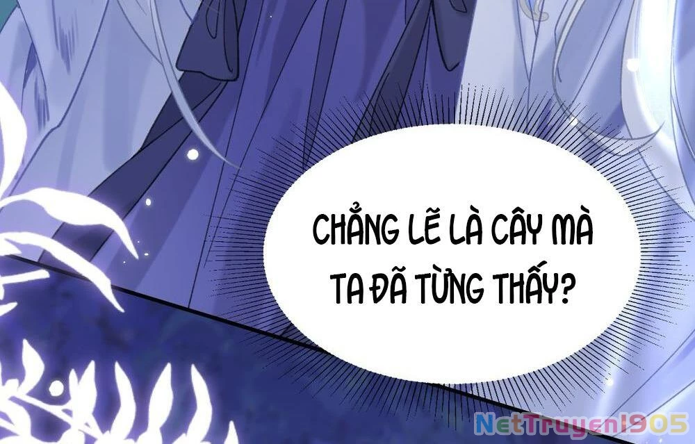 Đông Hải Tìm Mỹ Nhân Chapter 21 - 24