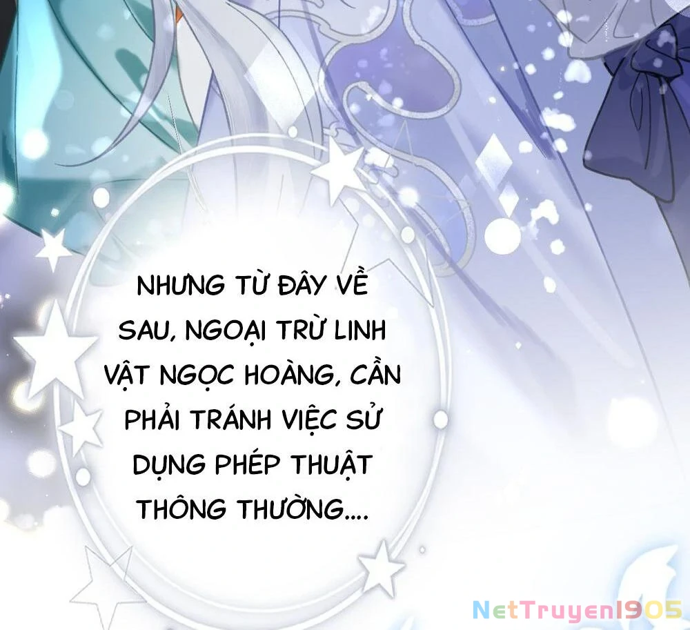 Đông Hải Tìm Mỹ Nhân Chapter 21 - 31