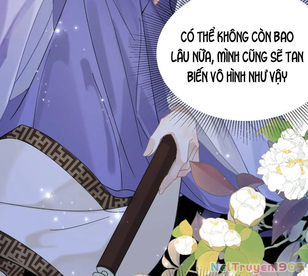 Đông Hải Tìm Mỹ Nhân Chapter 21 - 37