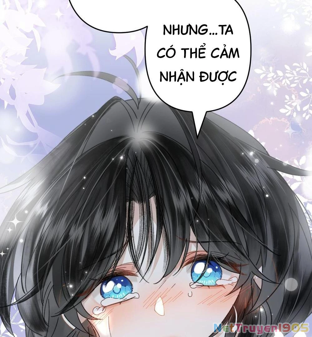 Đông Hải Tìm Mỹ Nhân Chapter 21 - 41