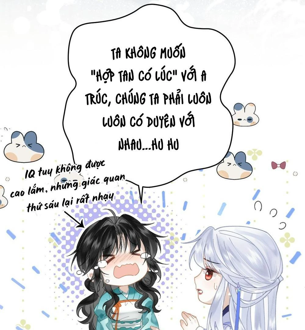 Đông Hải Tìm Mỹ Nhân Chapter 21 - 48