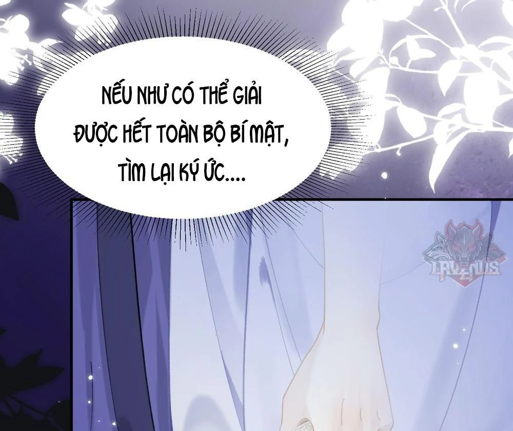Đông Hải Tìm Mỹ Nhân Chapter 21 - 52