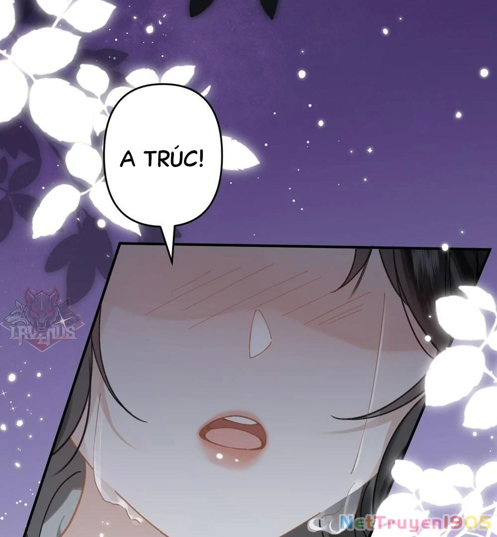 Đông Hải Tìm Mỹ Nhân Chapter 21 - 54