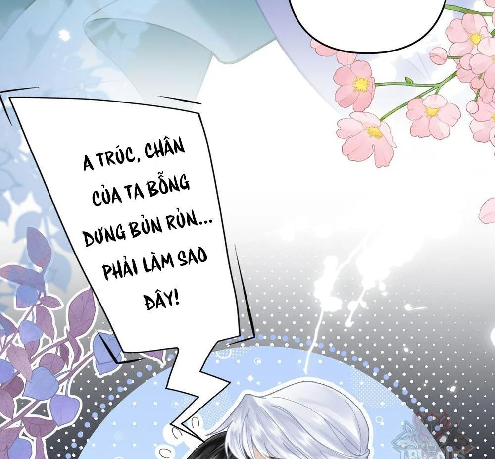 Đông Hải Tìm Mỹ Nhân Chapter 21 - 58