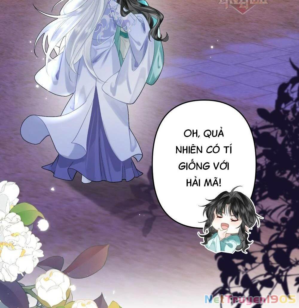 Đông Hải Tìm Mỹ Nhân Chapter 21 - 65