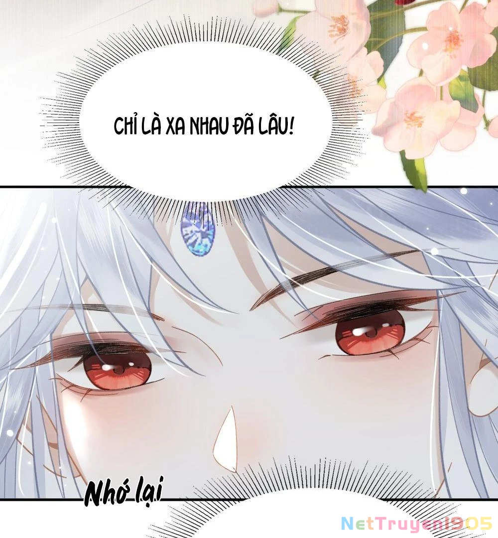 Đông Hải Tìm Mỹ Nhân Chapter 21 - 79