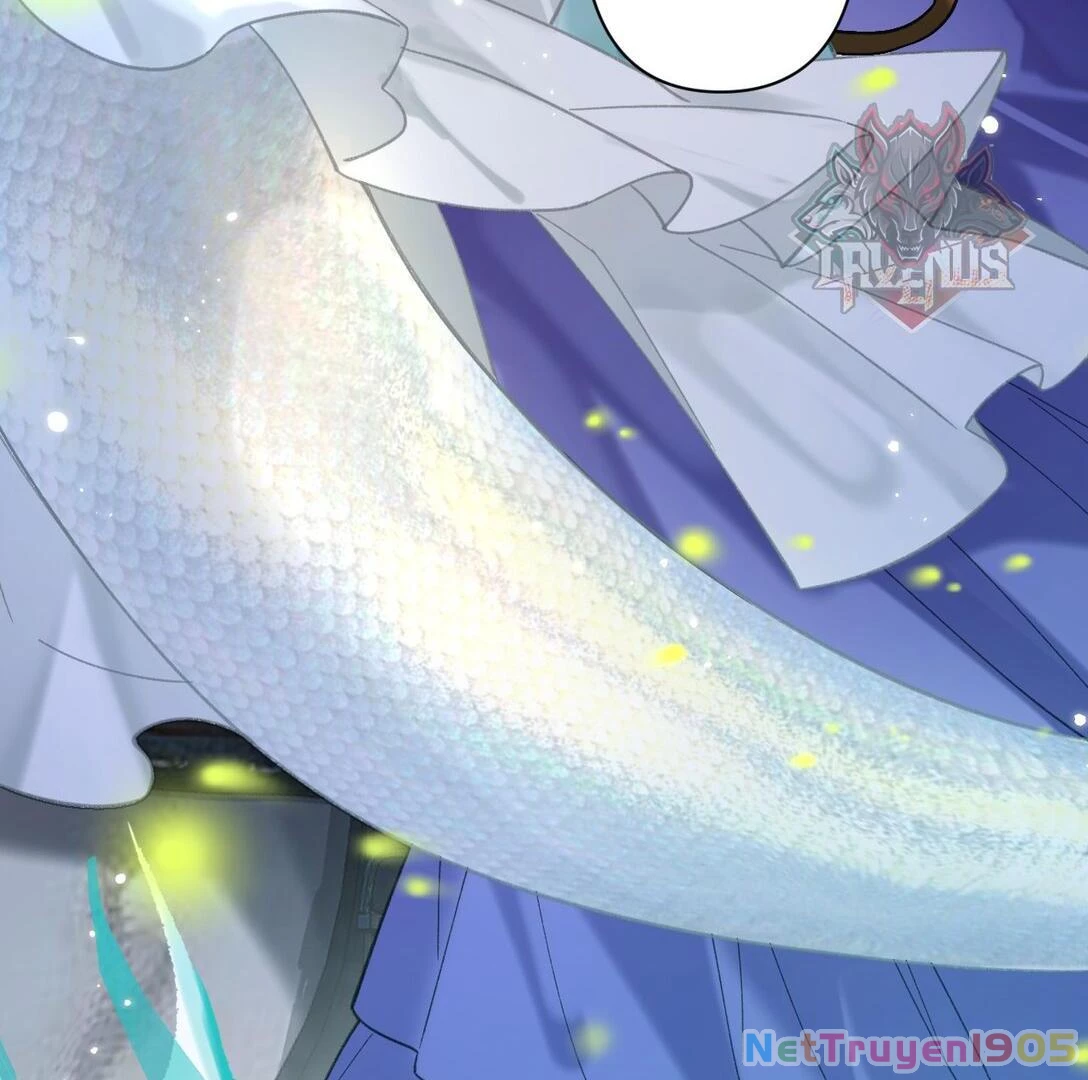 Đông Hải Tìm Mỹ Nhân Chapter 22 - 4