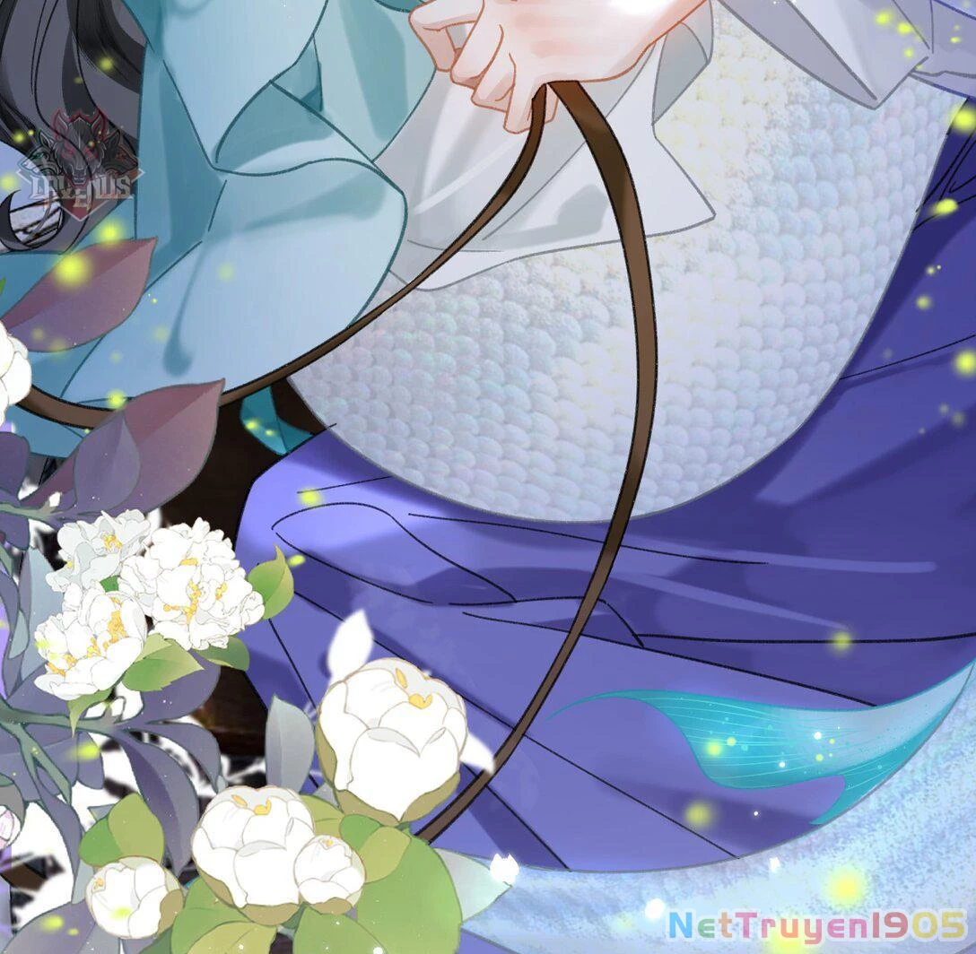 Đông Hải Tìm Mỹ Nhân Chapter 22 - 17