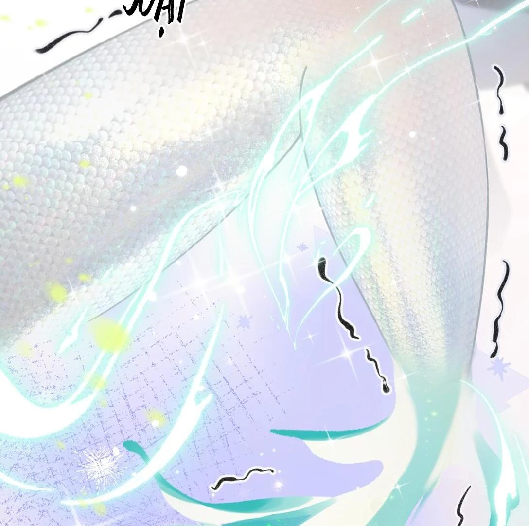 Đông Hải Tìm Mỹ Nhân Chapter 22 - 24