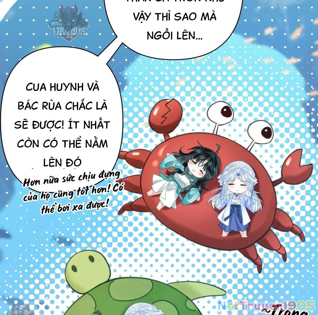 Đông Hải Tìm Mỹ Nhân Chapter 22 - 31