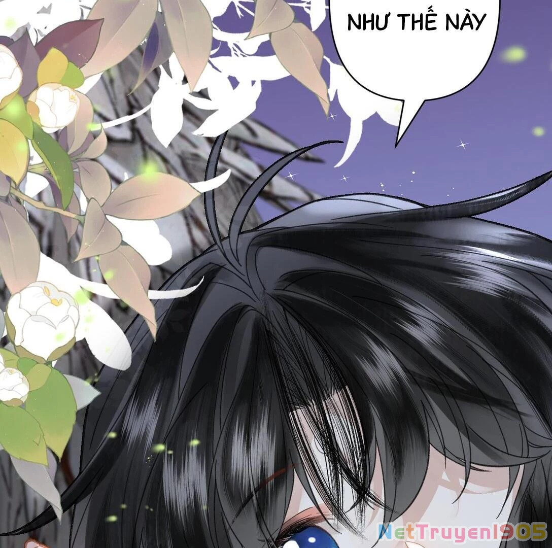 Đông Hải Tìm Mỹ Nhân Chapter 22 - 33