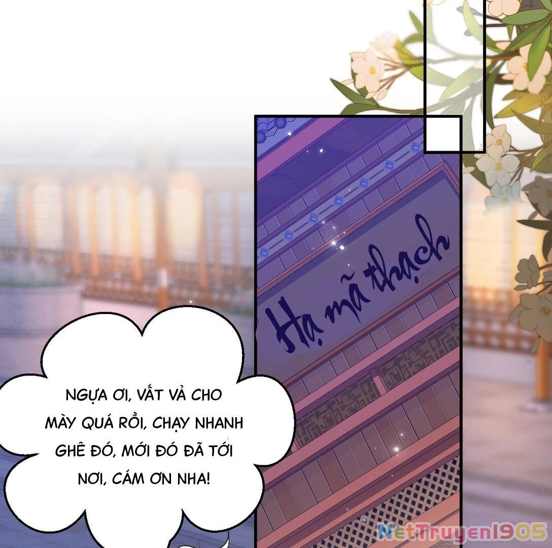 Đông Hải Tìm Mỹ Nhân Chapter 22 - 47