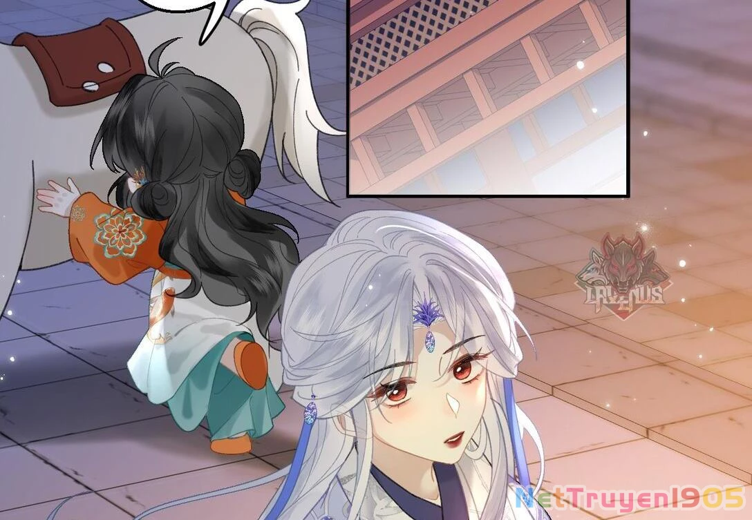 Đông Hải Tìm Mỹ Nhân Chapter 22 - 48