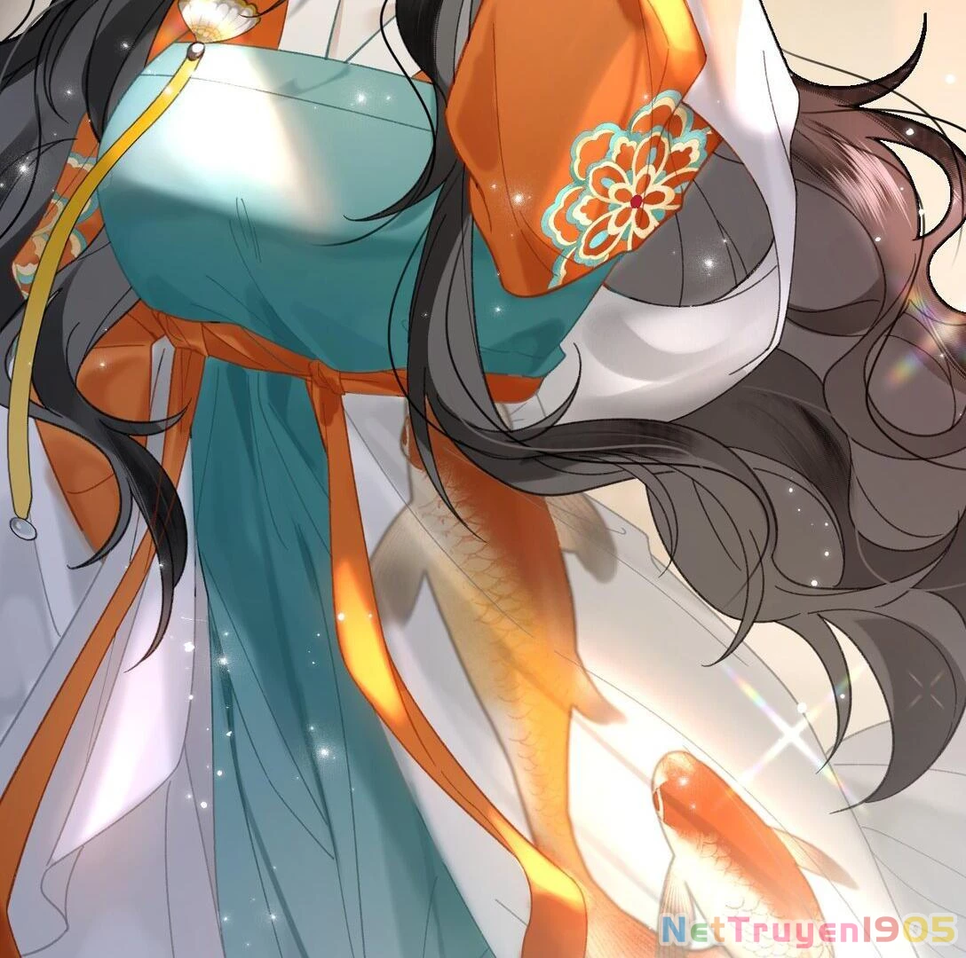 Đông Hải Tìm Mỹ Nhân Chapter 22 - 53