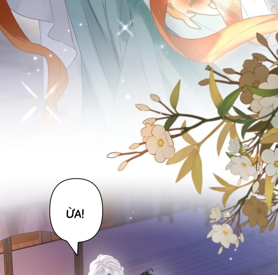 Đông Hải Tìm Mỹ Nhân Chapter 22 - 54