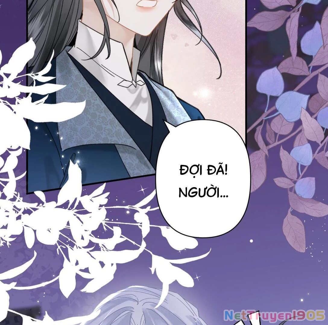 Đông Hải Tìm Mỹ Nhân Chapter 22 - 73