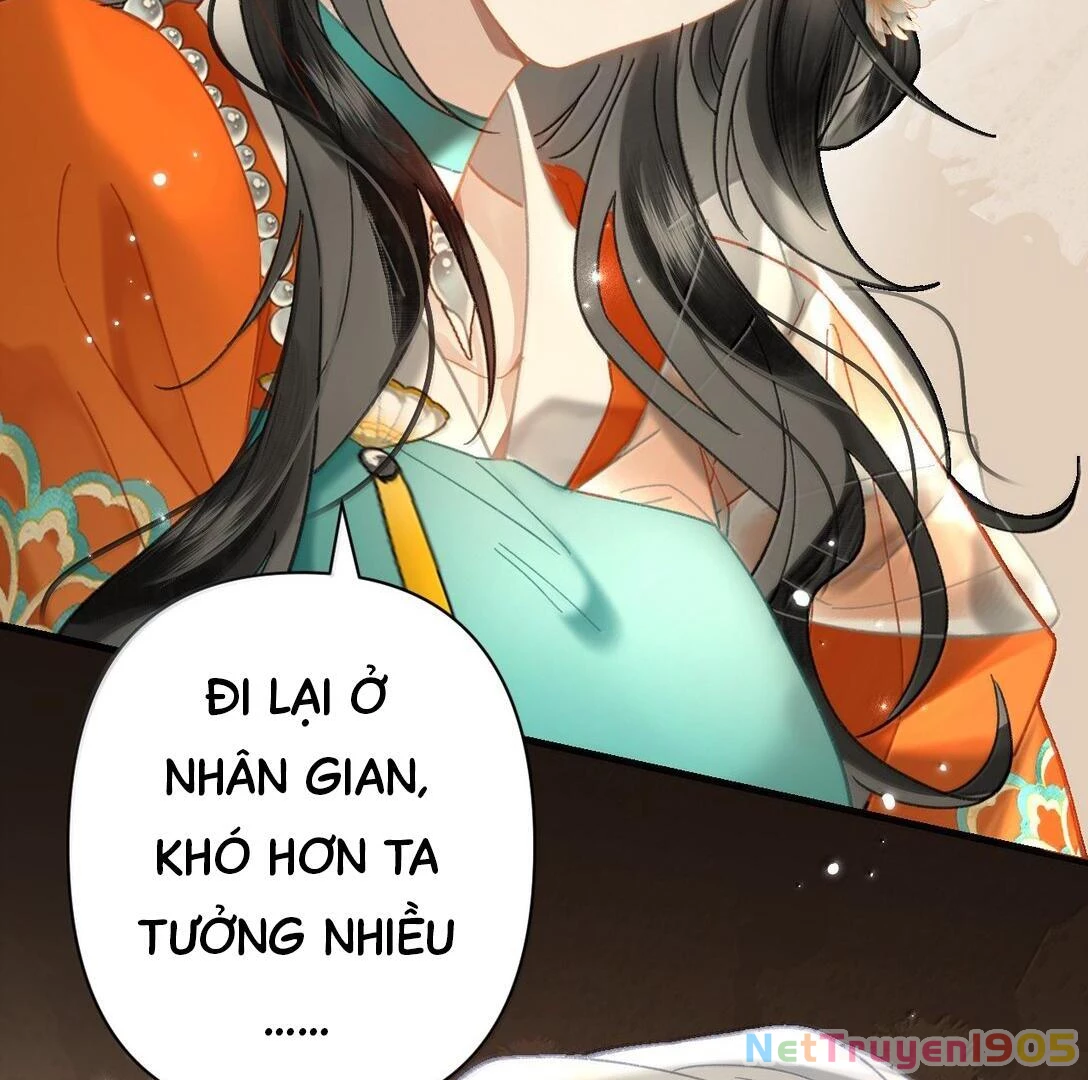 Đông Hải Tìm Mỹ Nhân Chapter 24 - 9