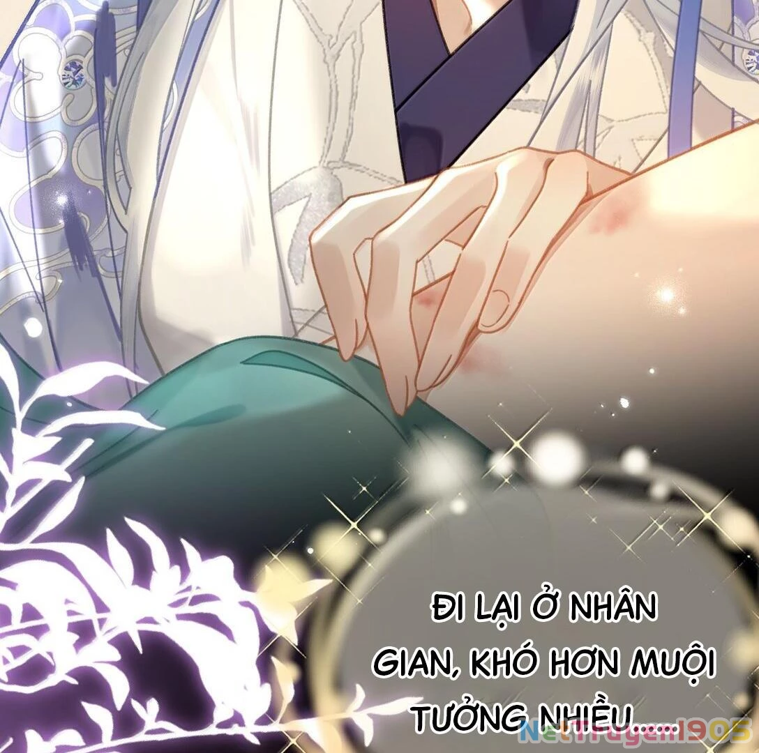 Đông Hải Tìm Mỹ Nhân Chapter 24 - 11